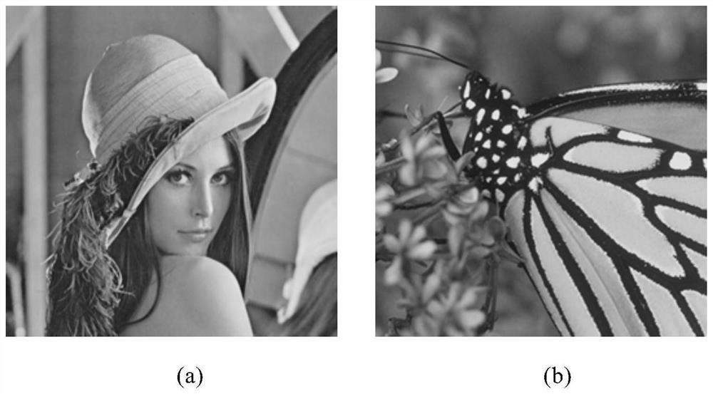 An improved method of approximate information transfer algorithm based on deep learning denoising