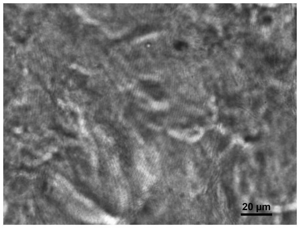 A preparation method of fluorescent cholesteric cellulose nanocrystal film with acid-base gas response