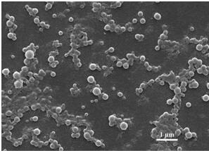 A kind of glycosylated pesticide nano-microcapsule and preparation method thereof