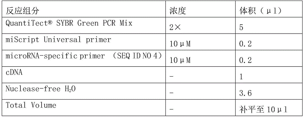 Osteosarcoma diagnosis and treatment preparation and application thereof