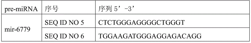 Osteosarcoma diagnosis and treatment preparation and application thereof