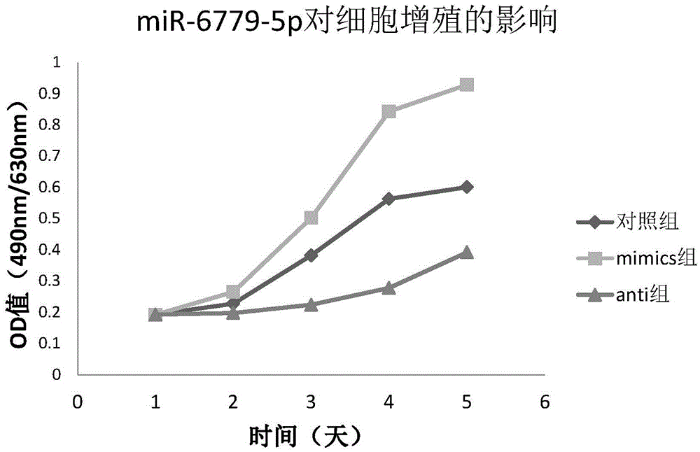 Osteosarcoma diagnosis and treatment preparation and application thereof