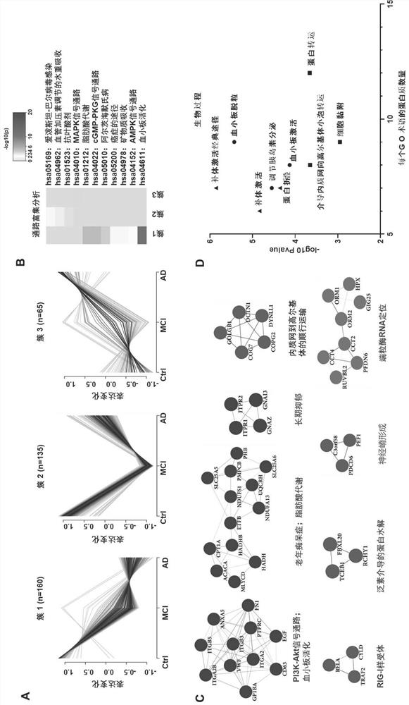 Biomarker and kit for predicting AD (Alzheimer's disease) risk of old people and application of biomarker and kit