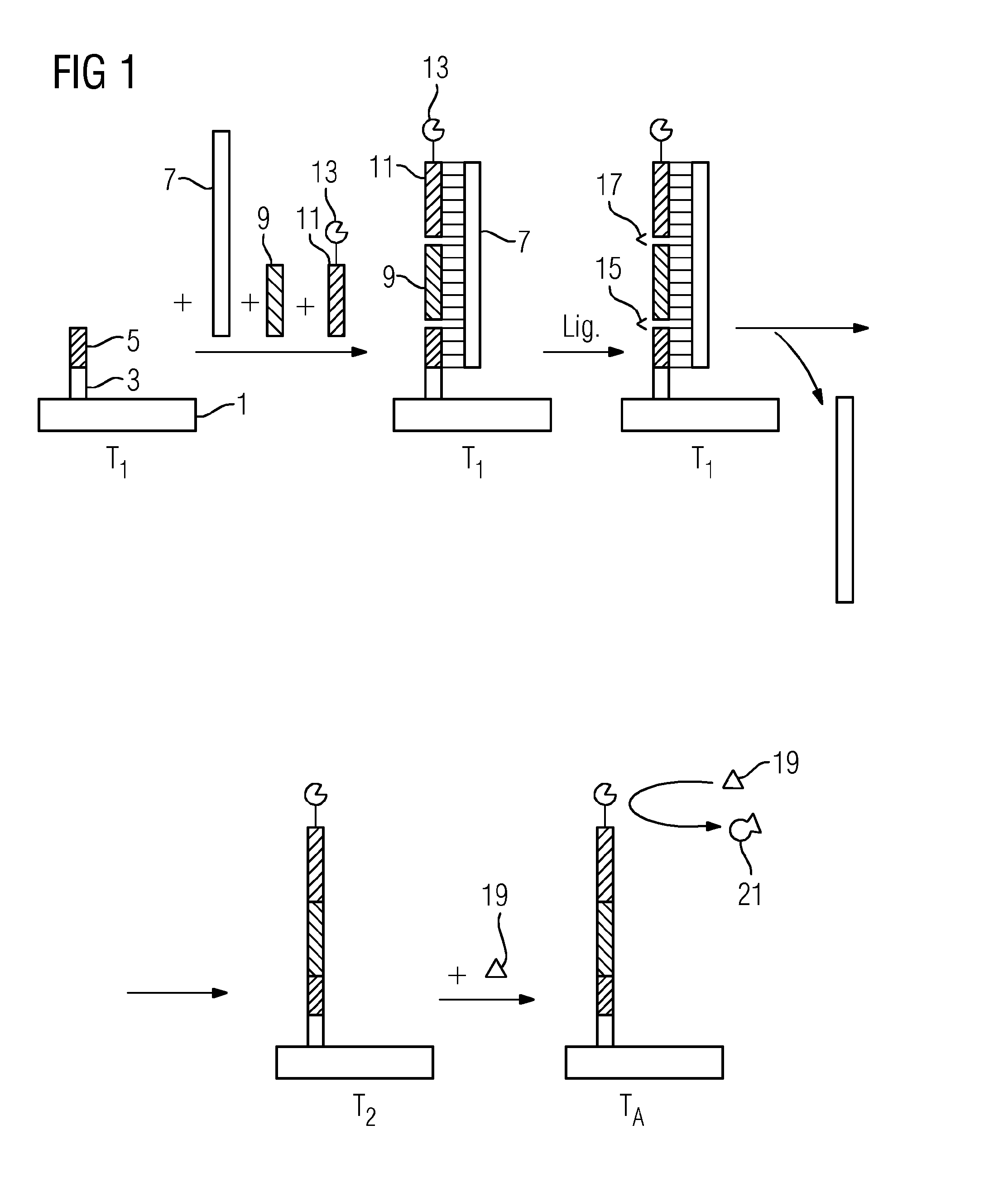 Method and Kit for Identification and Quantification of Single-Strand Target Nucleic Acid
