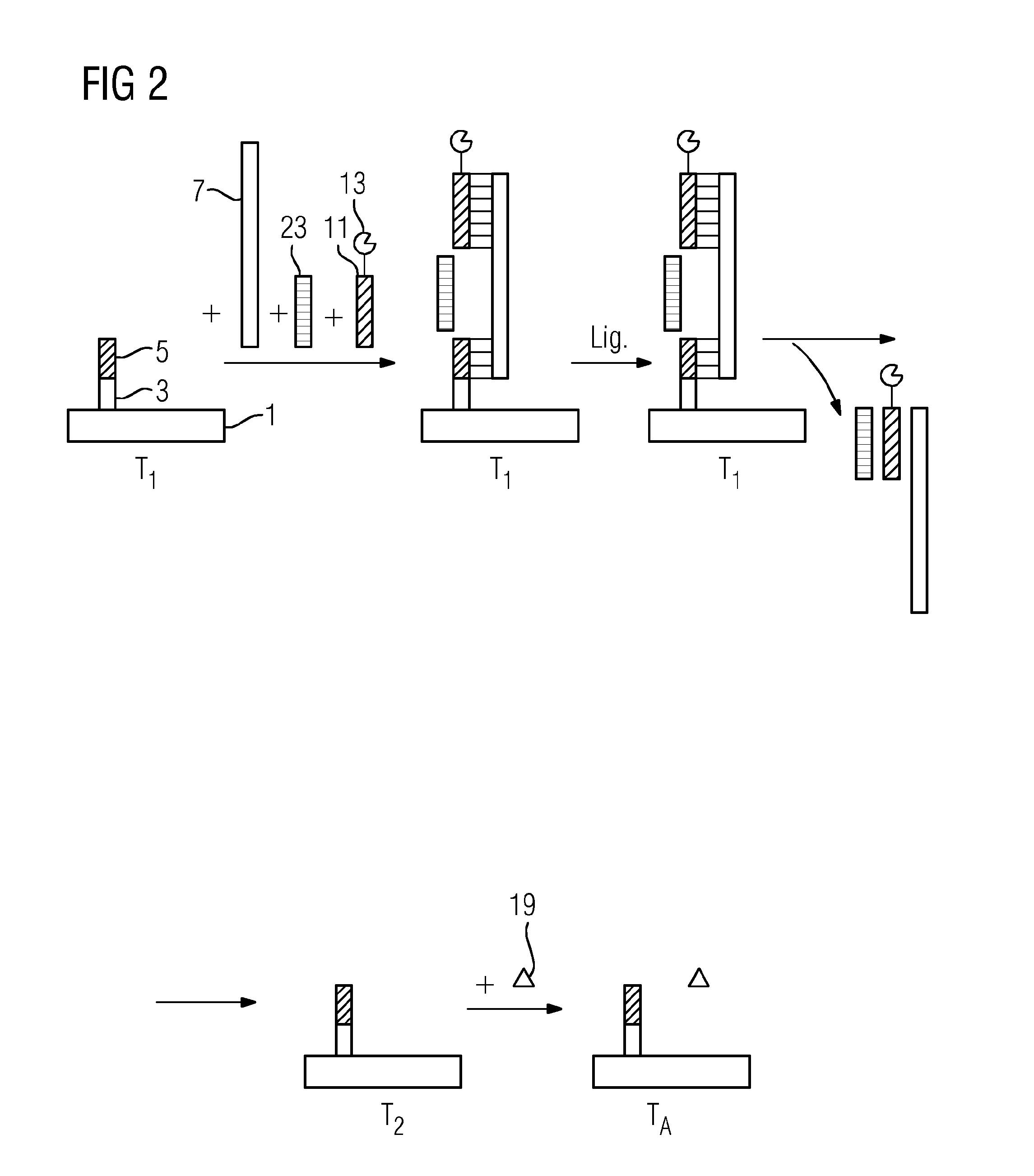 Method and Kit for Identification and Quantification of Single-Strand Target Nucleic Acid