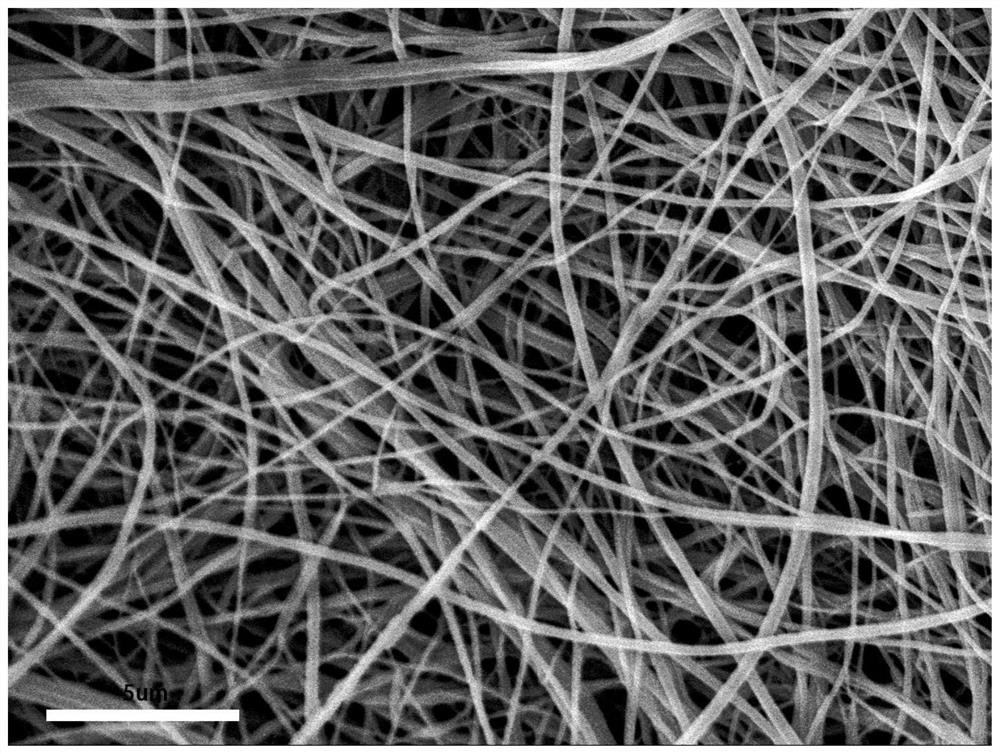 A kind of nanofiber chitosan porous material and preparation method thereof