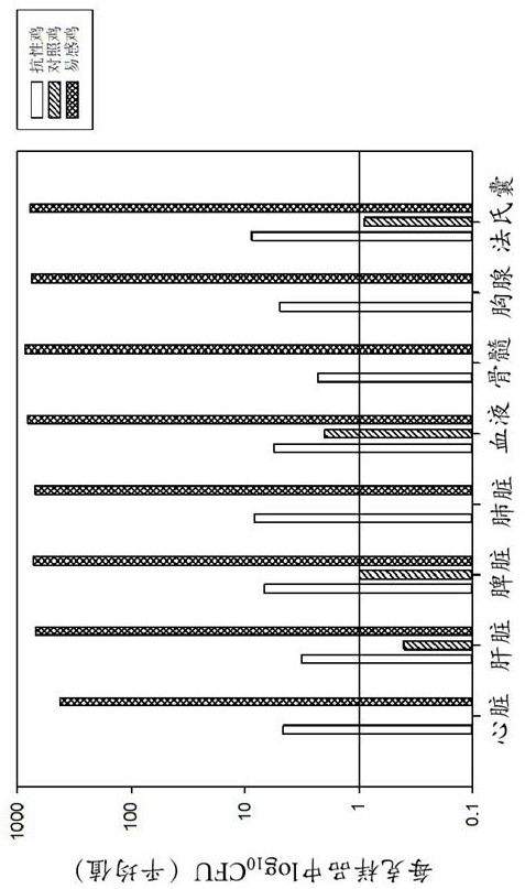NLR signal path related to anti-avian pathogenic escherichia coli and application thereof