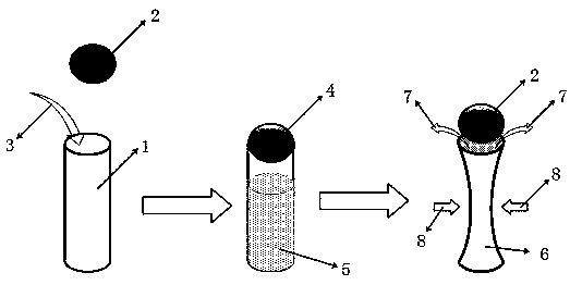 Liquid storage capsule and application thereof