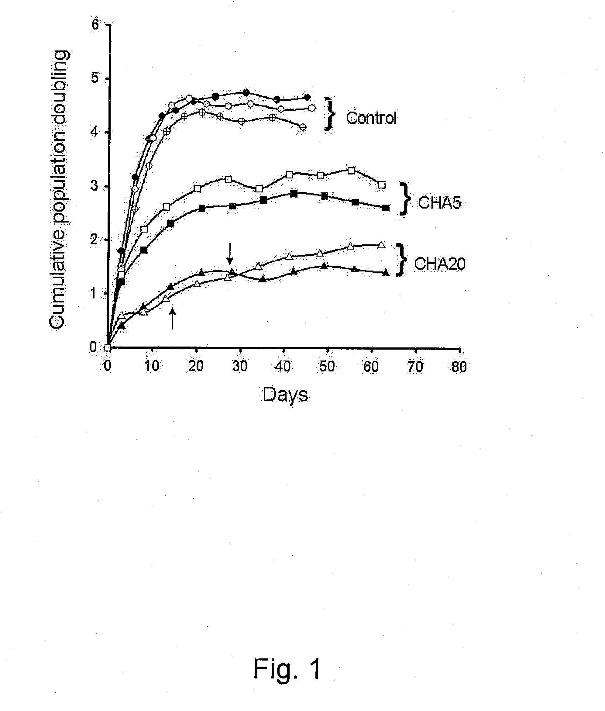 Method for preserving proliferation and differentiation potential of undiffrentiated cells