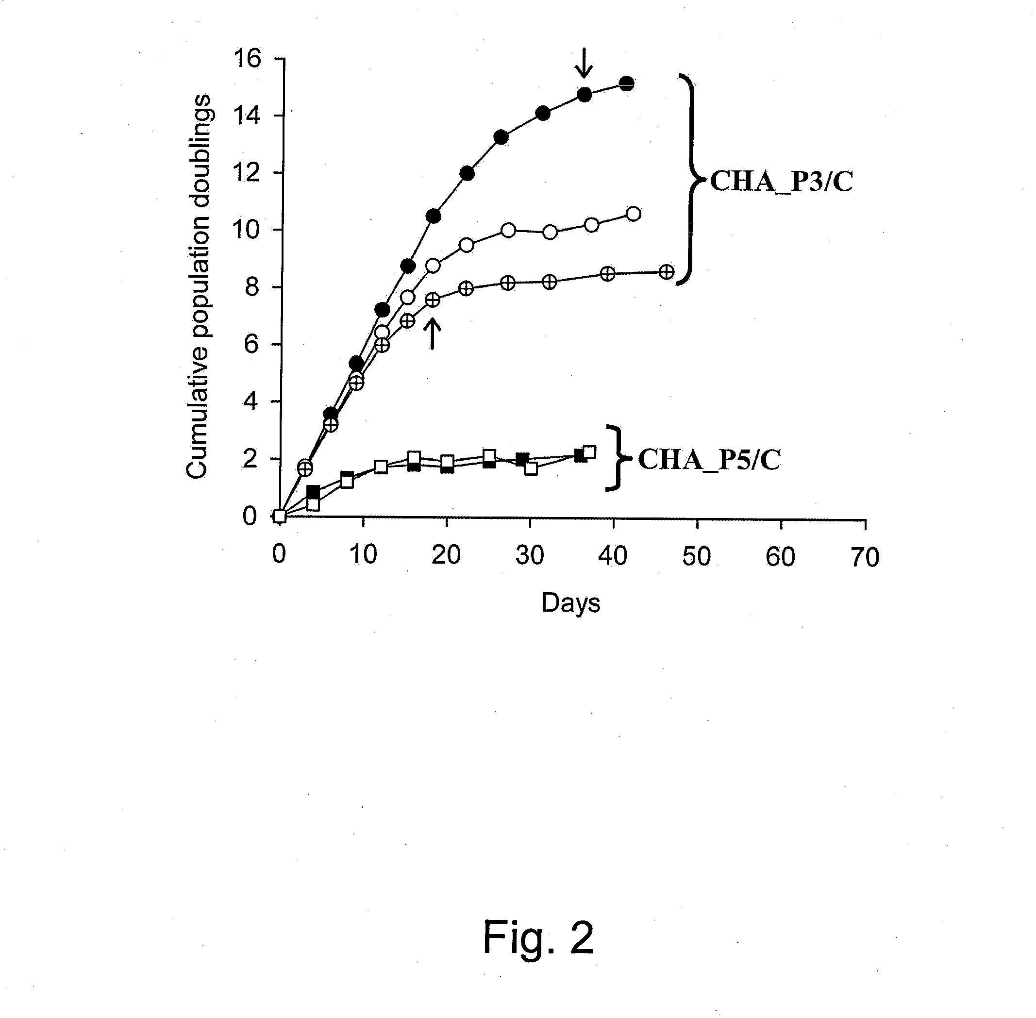 Method for preserving proliferation and differentiation potential of undiffrentiated cells