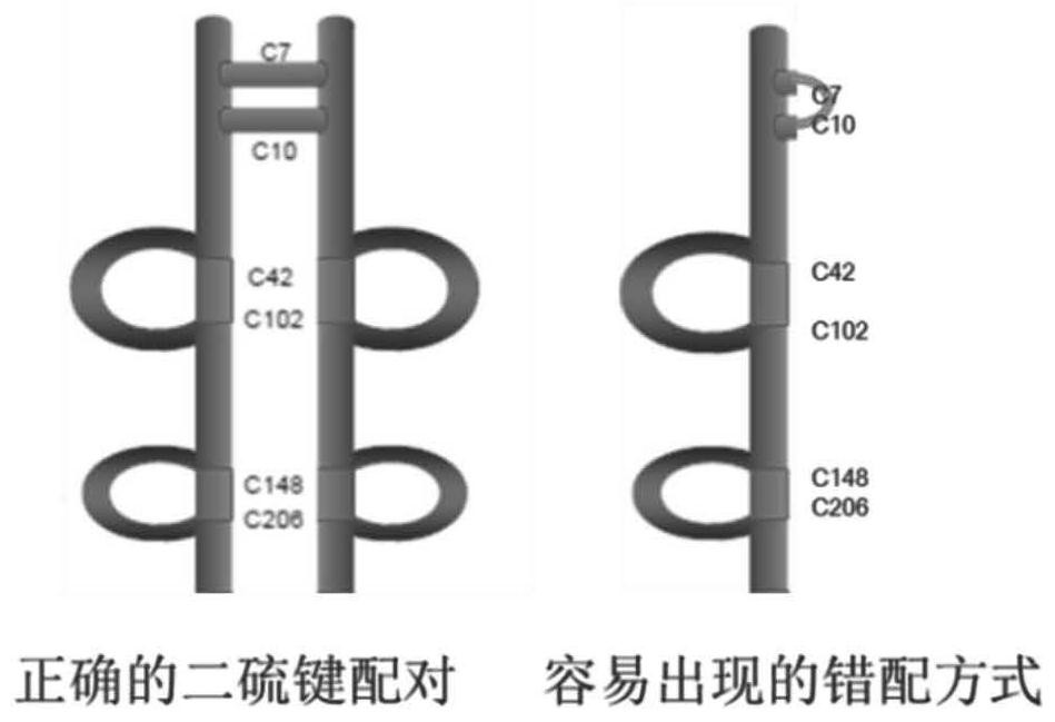 A kind of renaturation method of recombinant protein