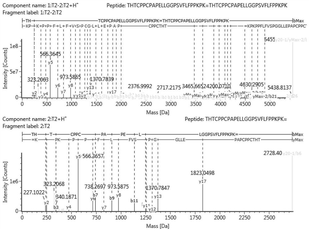 A kind of renaturation method of recombinant protein