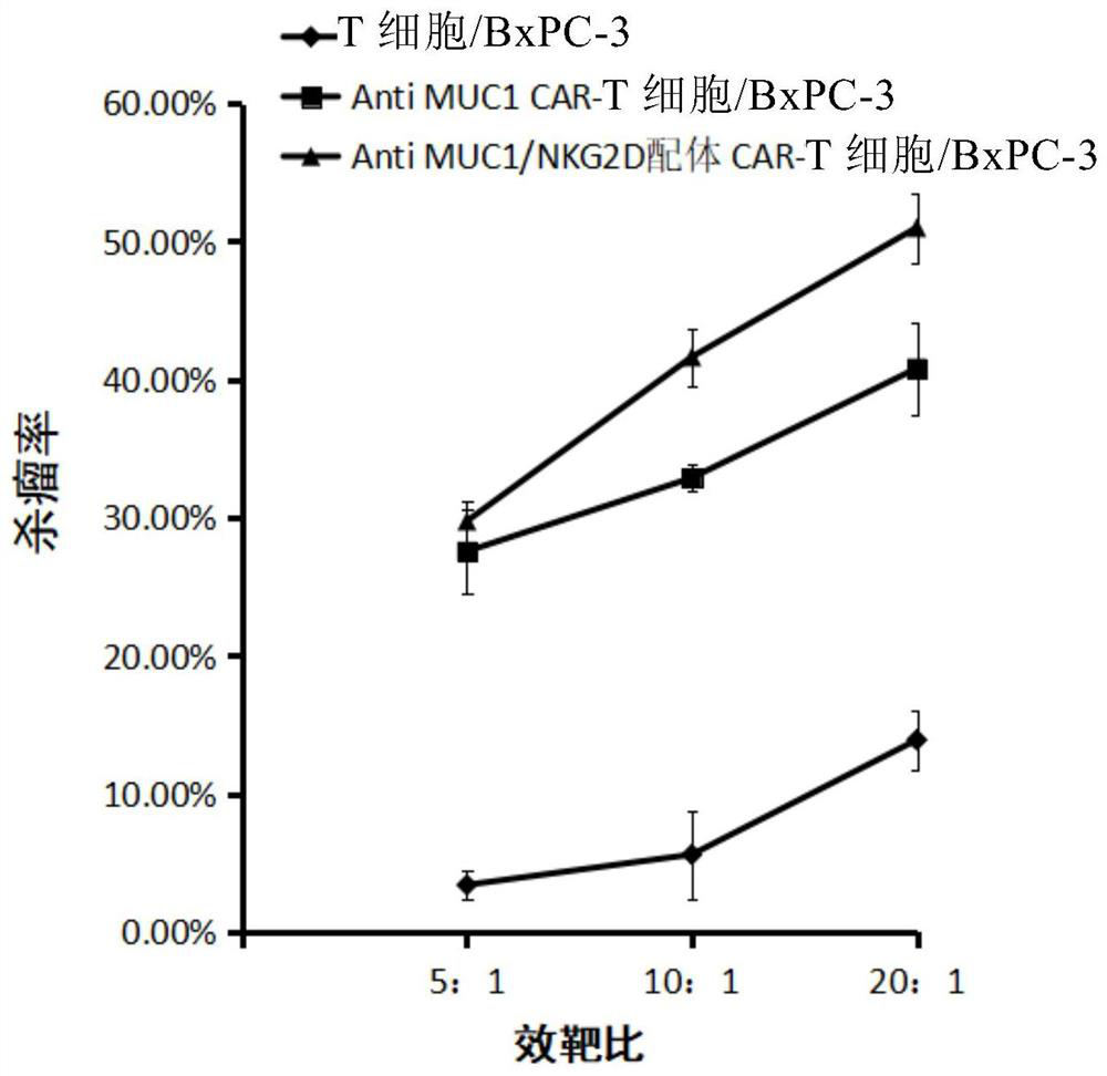 Chimeric Antigen Receptor Expressed on the Surface of T Lymphocytes and Its Application