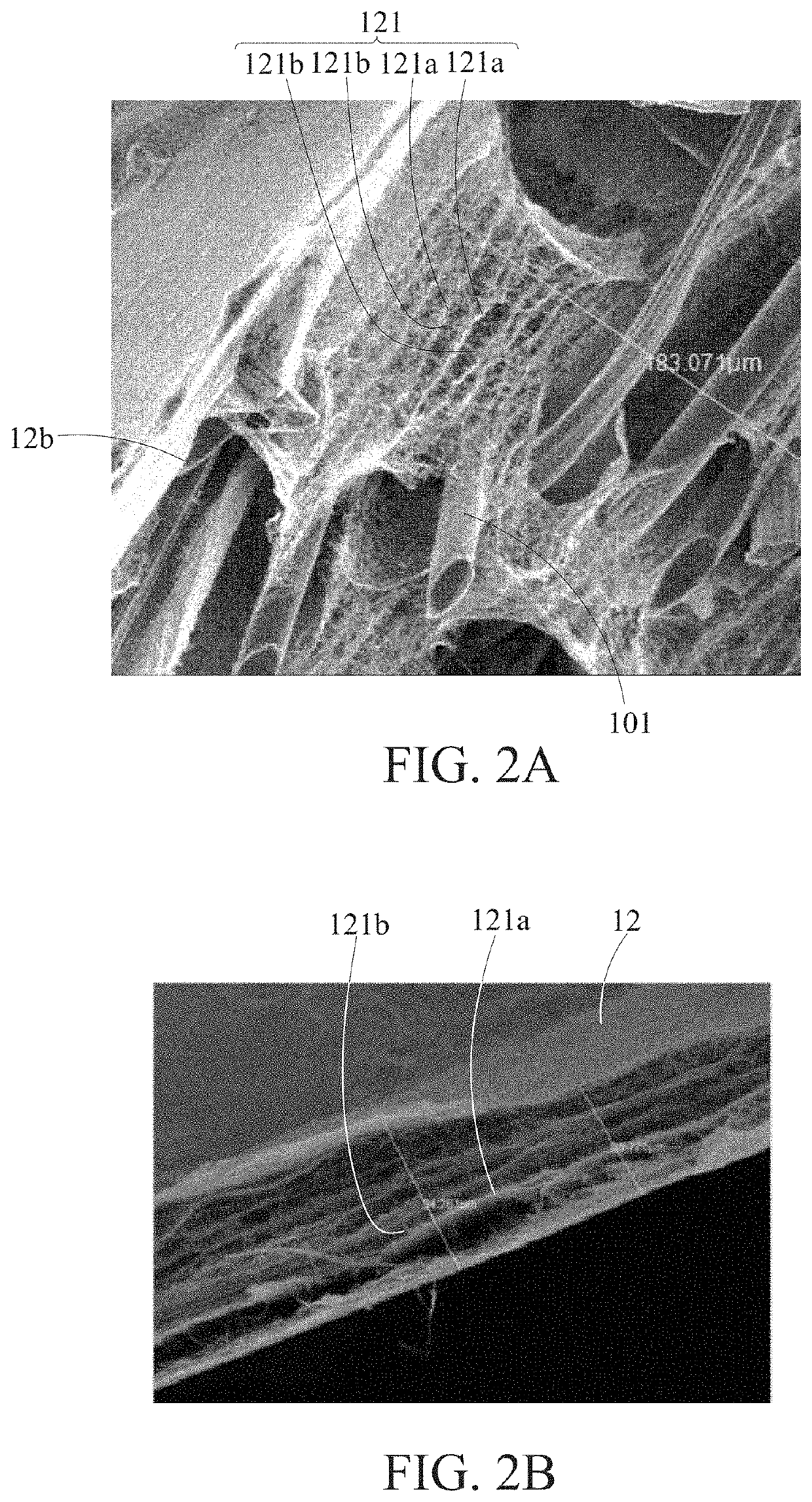 Biological fiber composite dressing