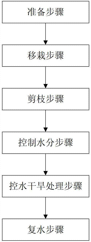 Physical control method for out-of-season blossoming of longans and culture container
