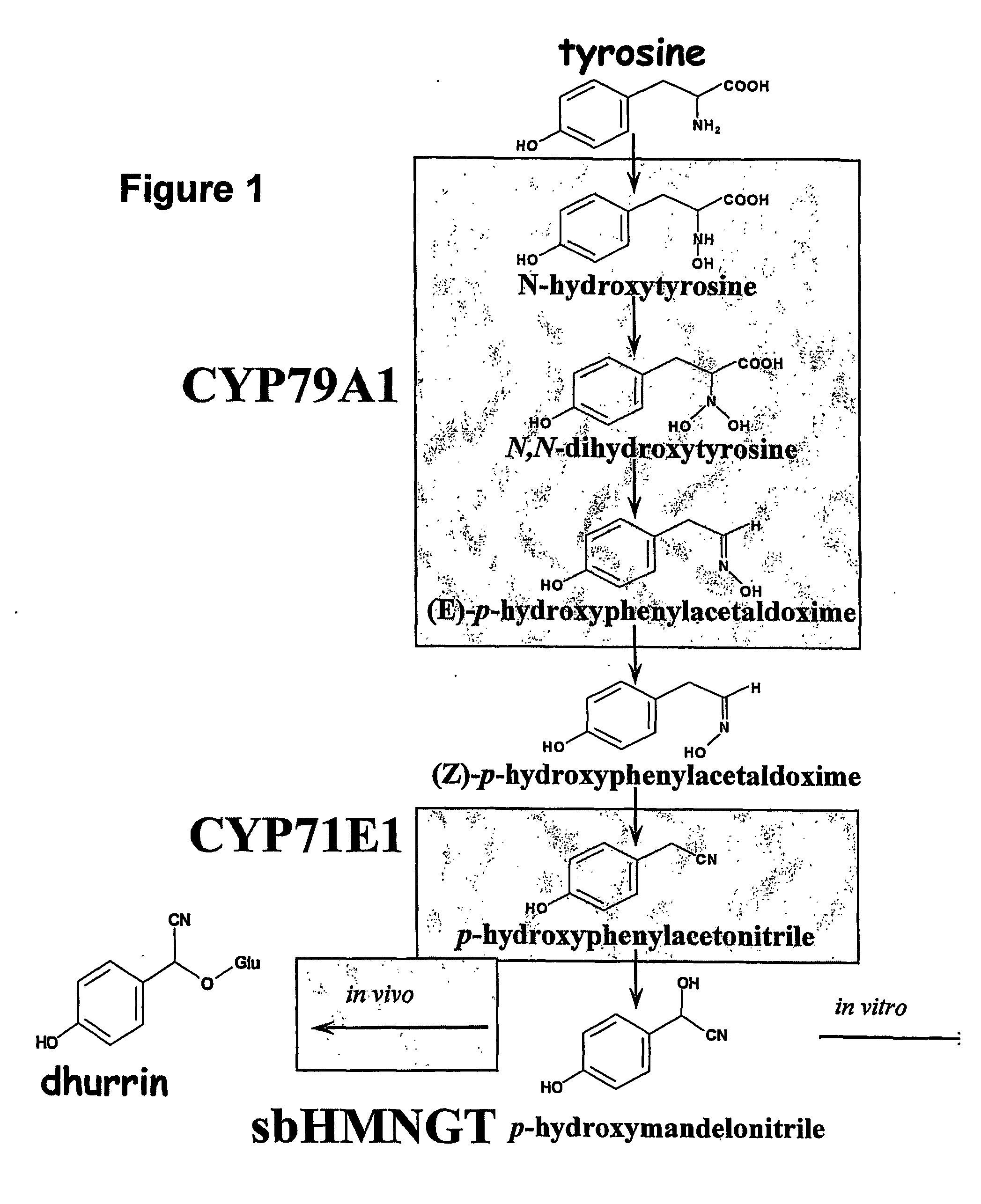 Method of producing a low molecular weight organic compound in a cell