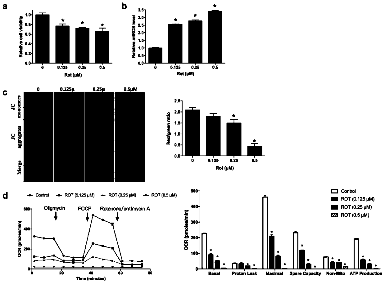 Application of polydatin in preparation of medicine for preventing and treating Parkinson's disease, and pharmaceutical composition