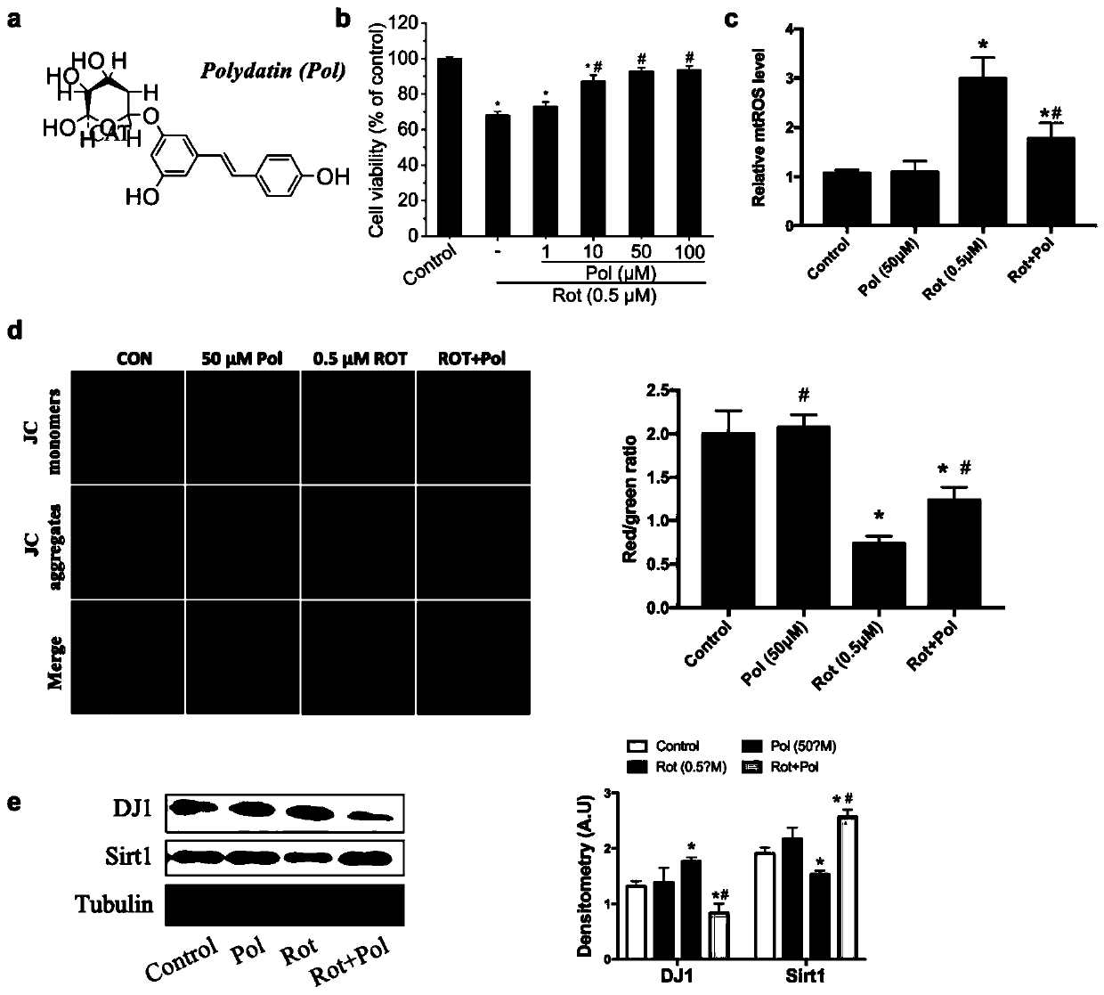 Application of polydatin in preparation of medicine for preventing and treating Parkinson's disease, and pharmaceutical composition