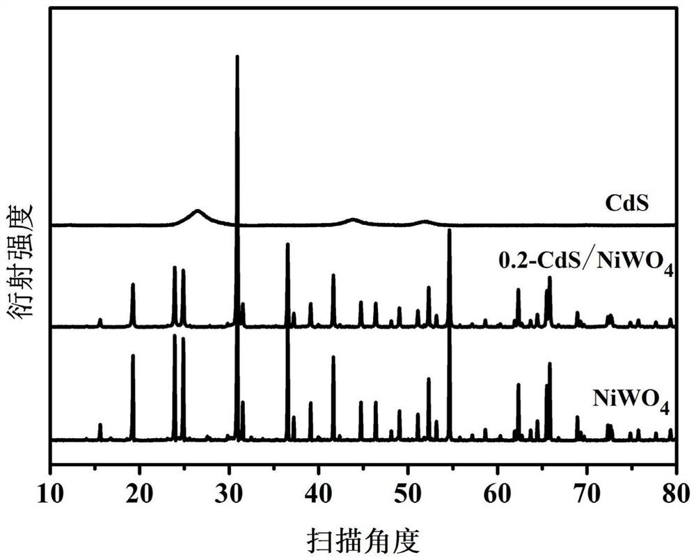 A kind of cadmium sulfide/nickel tungstate composite visible light catalyst, preparation method and application