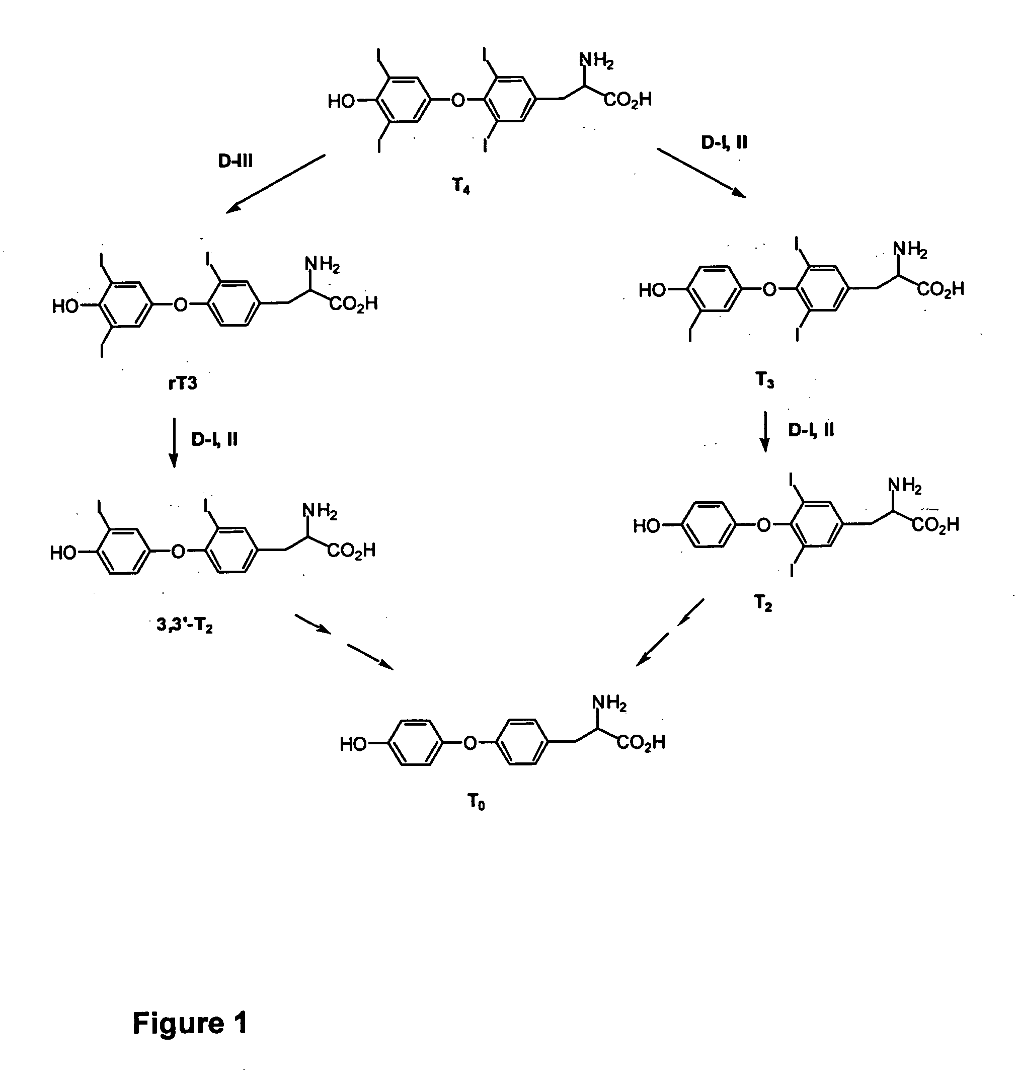 Thyronamine derivatives and analogs and methods of use thereof