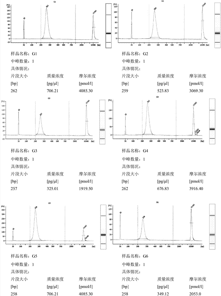 Establishment method for small fragmental DNA (Deoxyribose Nucleic Acid) library based on Ion ProtonTM sequencing platform and application of establishment method