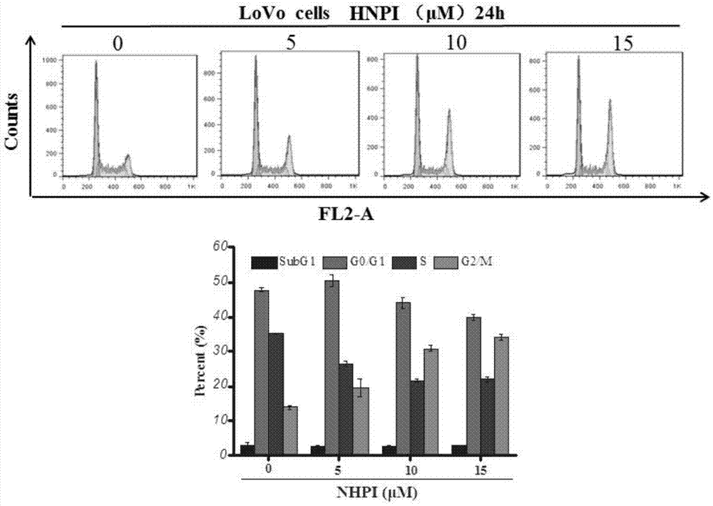 Application of N-hydroxyphthalimide compounds in preparation of anti-tumor medicine