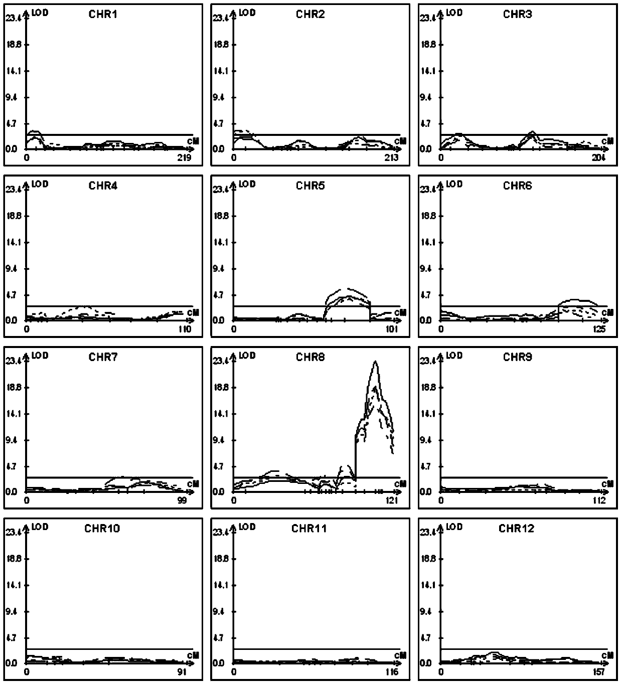 Genes Regulating Plant Architecture and Yield and Their Applications