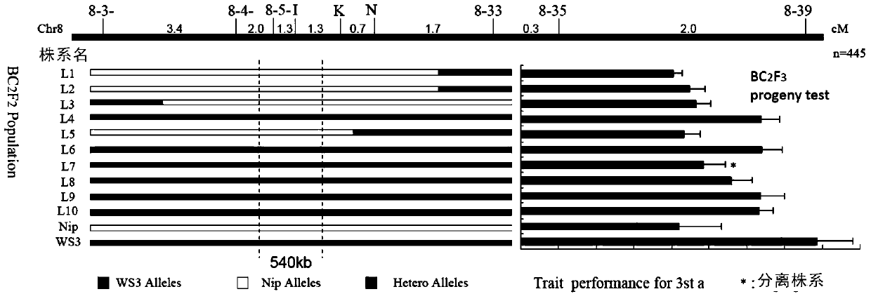 Genes Regulating Plant Architecture and Yield and Their Applications