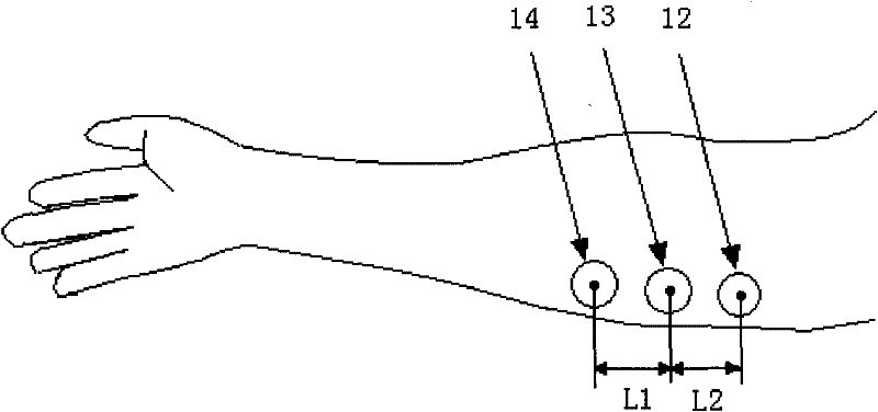 Evaluation method of ergonomics design of ultrasonic probe