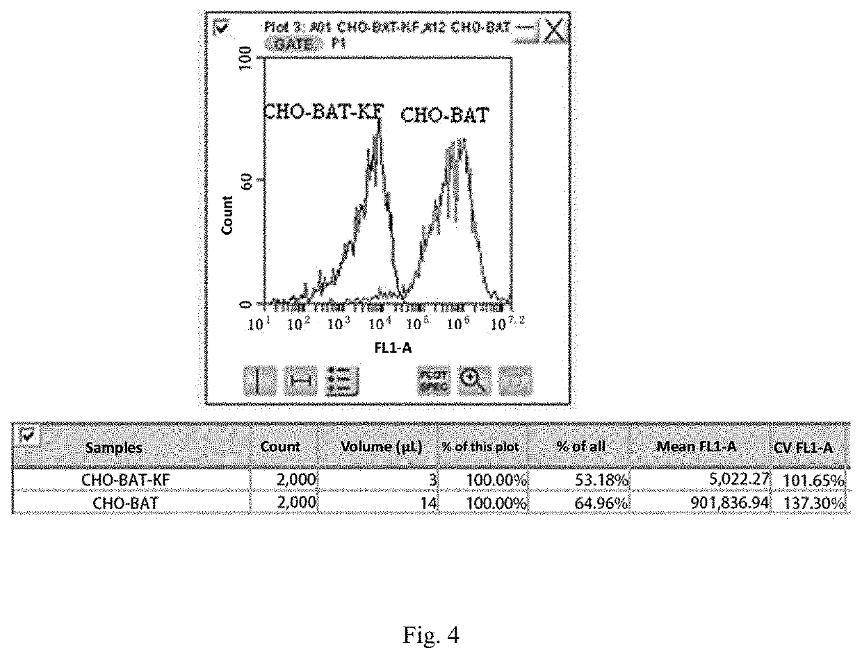 Recombinant antibody having unique glycan profile produced by cho host cell with edited genome and preparation method thereof