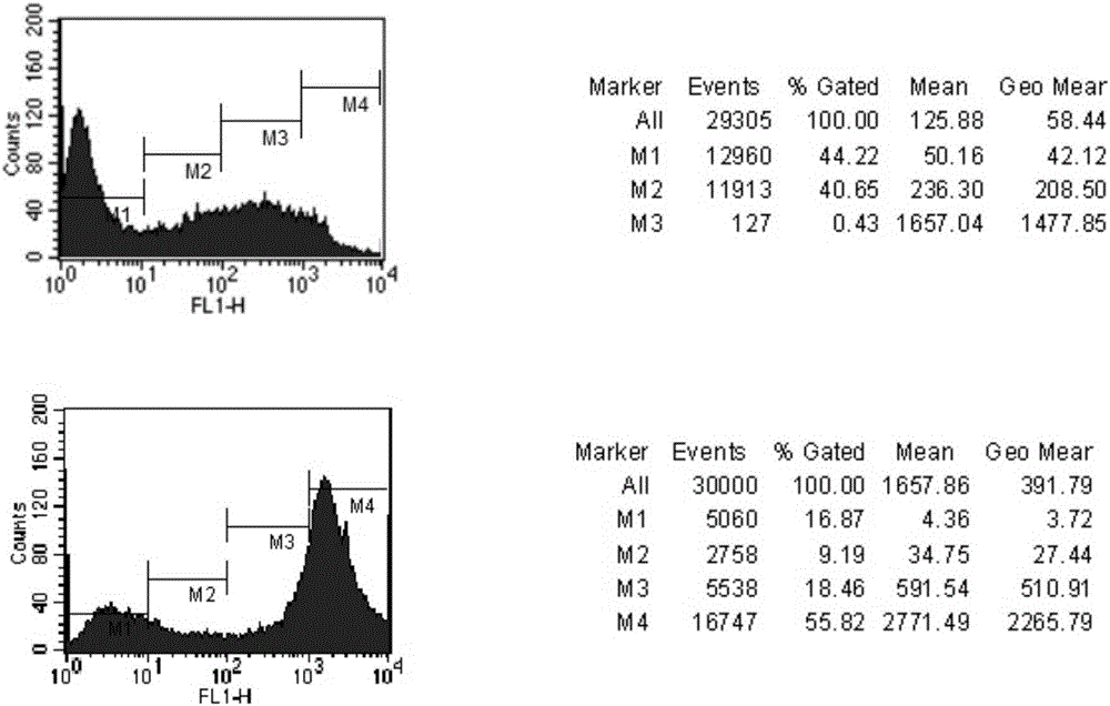 Recombinant retroviral vector and application thereof