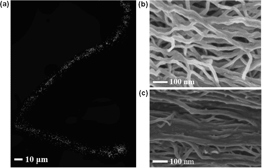 Organic solar cell based on carbon nanotube fiber and preparation method thereof