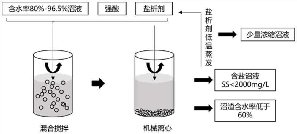 Biogas slurry efficient solid-liquid separation treatment method for inducing protein salting-out precipitation