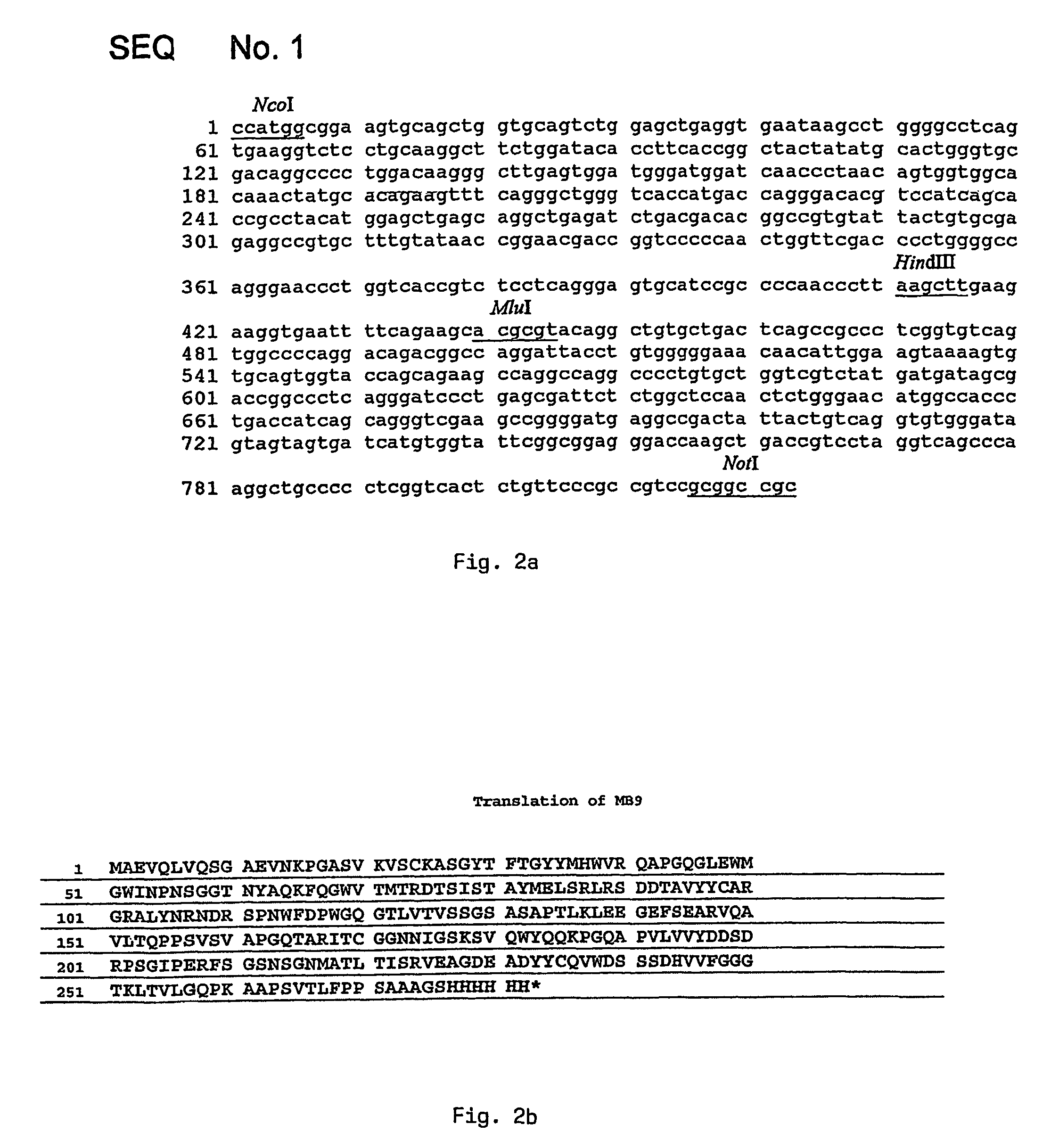 Antibody of human origin specifically binding to activated state of platelet integrin receptor GPIIb/IIIa