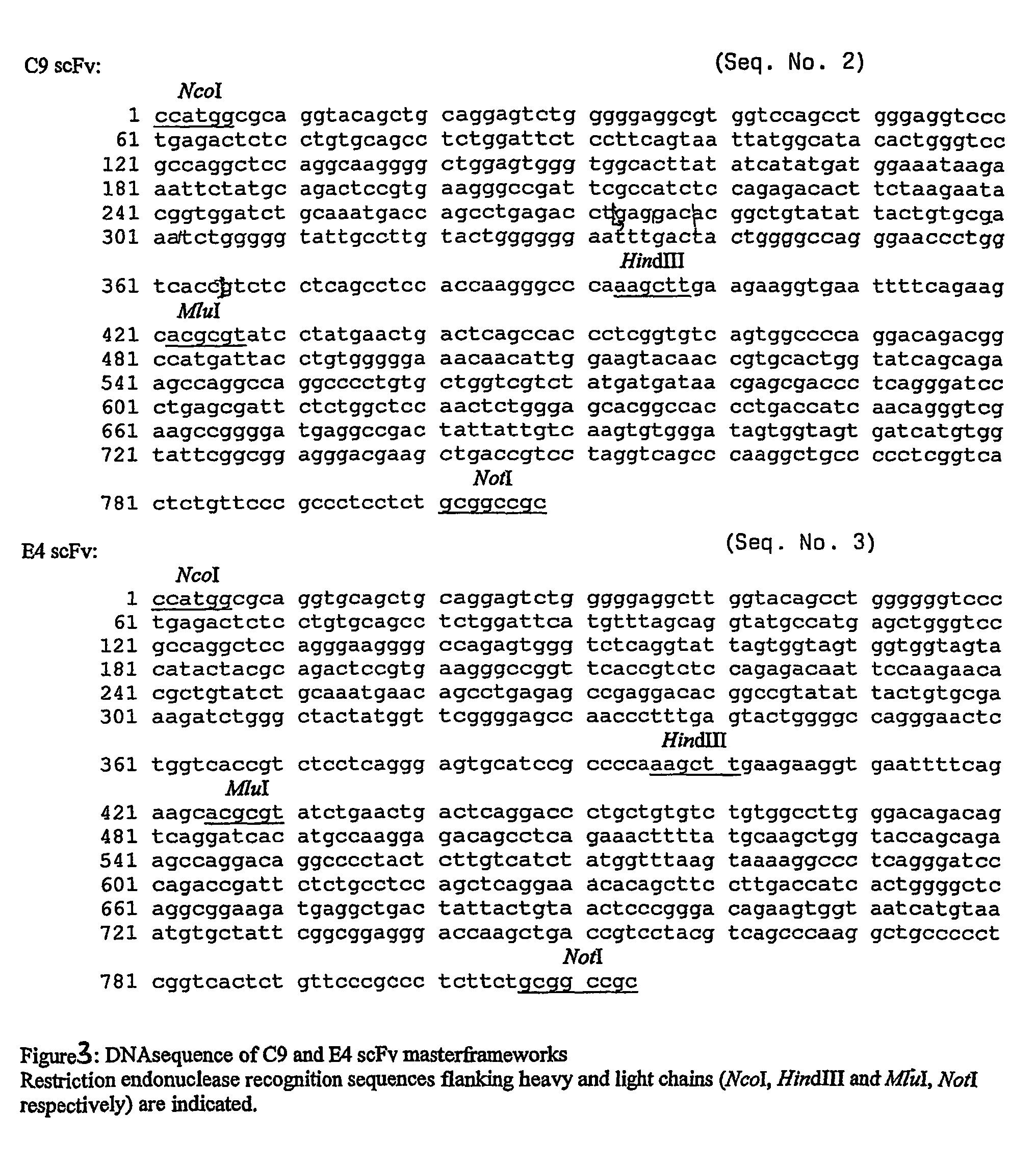 Antibody of human origin specifically binding to activated state of platelet integrin receptor GPIIb/IIIa