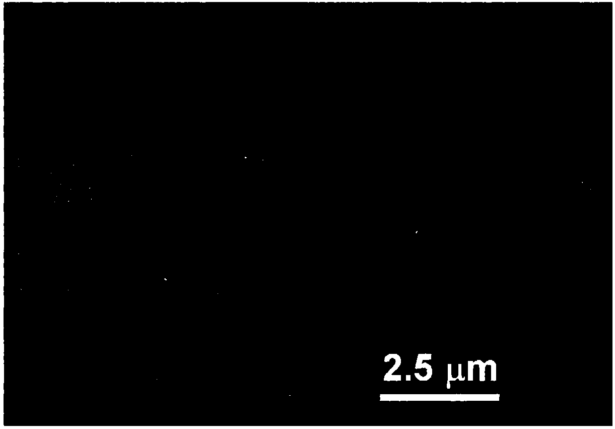 A kind of method for preparing yttrium zirconate by oxalic acid dihydrazide combustion method