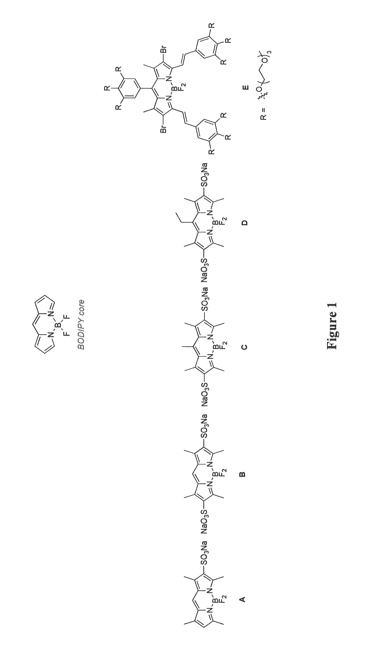 Through-bond energy transfer cassettes, systems and methods
