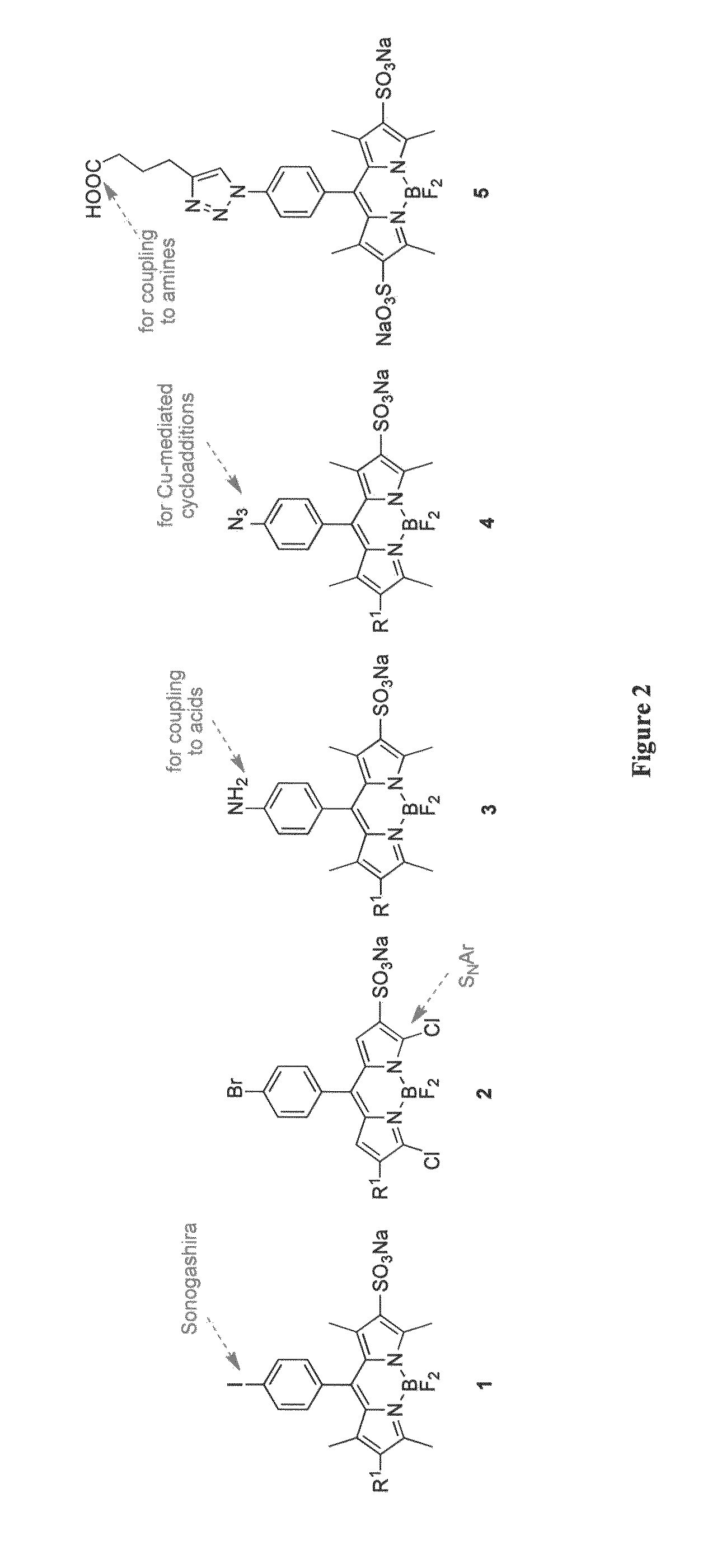 Through-bond energy transfer cassettes, systems and methods