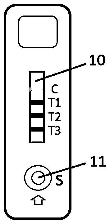 Triple test strip for detecting methamphetamine, morphine and ketamine as well as preparation method and application method of triple test strip