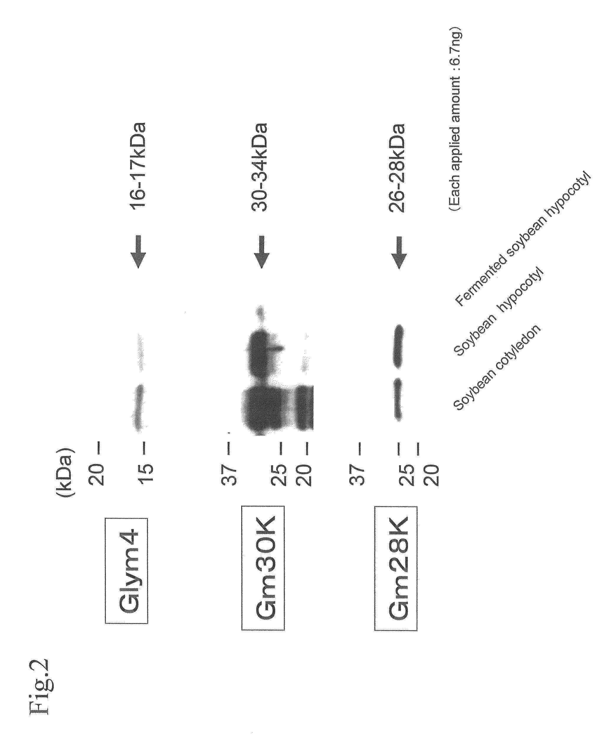 Equol-containing extract, method for production thereof, method for extraction of equol, and equol-containing food
