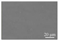 Speckle preparation method for prefabricated deformed pure titanium and pure titanium detwinning characterization method