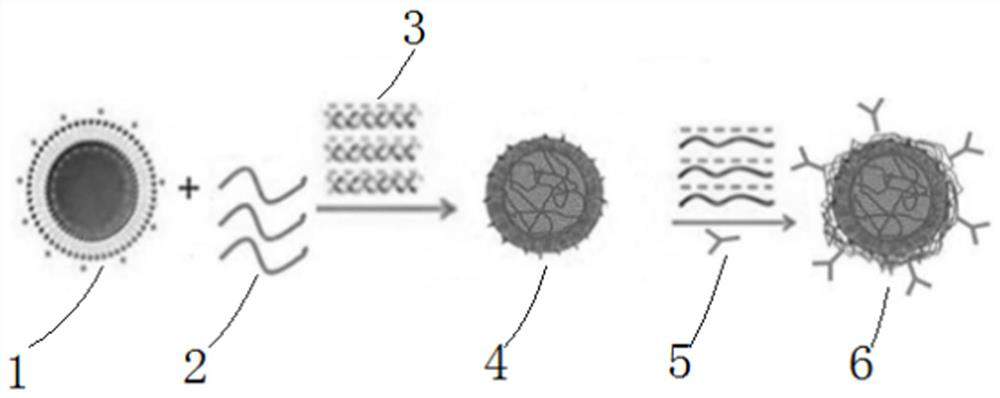 Polypeptide carrier for nucleic acid transfection and use thereof