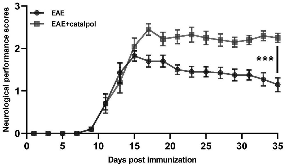 Application of catalpol in treatment of optic neuritis