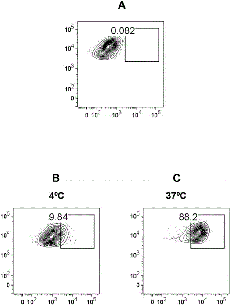 Liposome-based immunotherapy