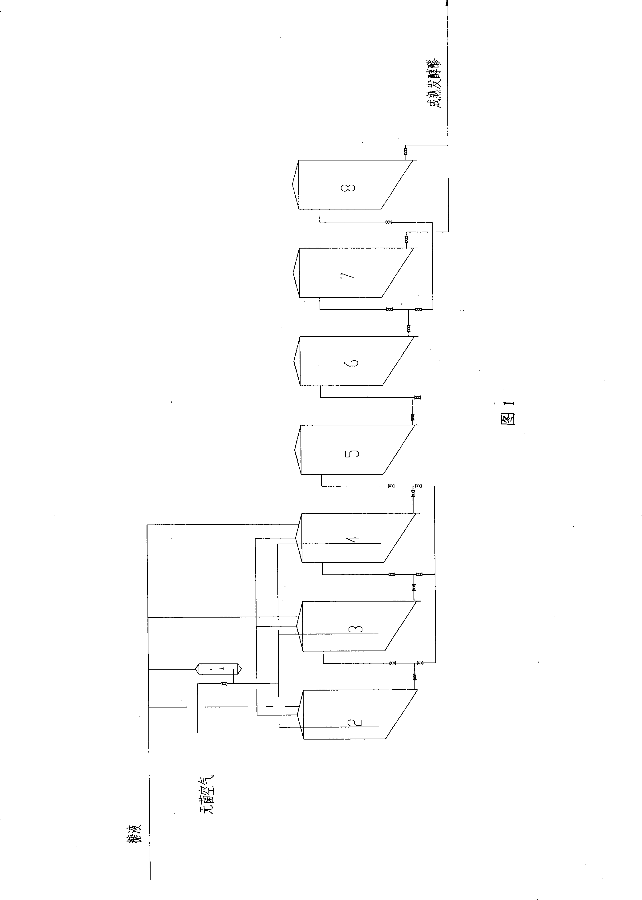 Method for producing alcohol by starchy materials big tank and non-vector immobilized yeast continuous fermentation