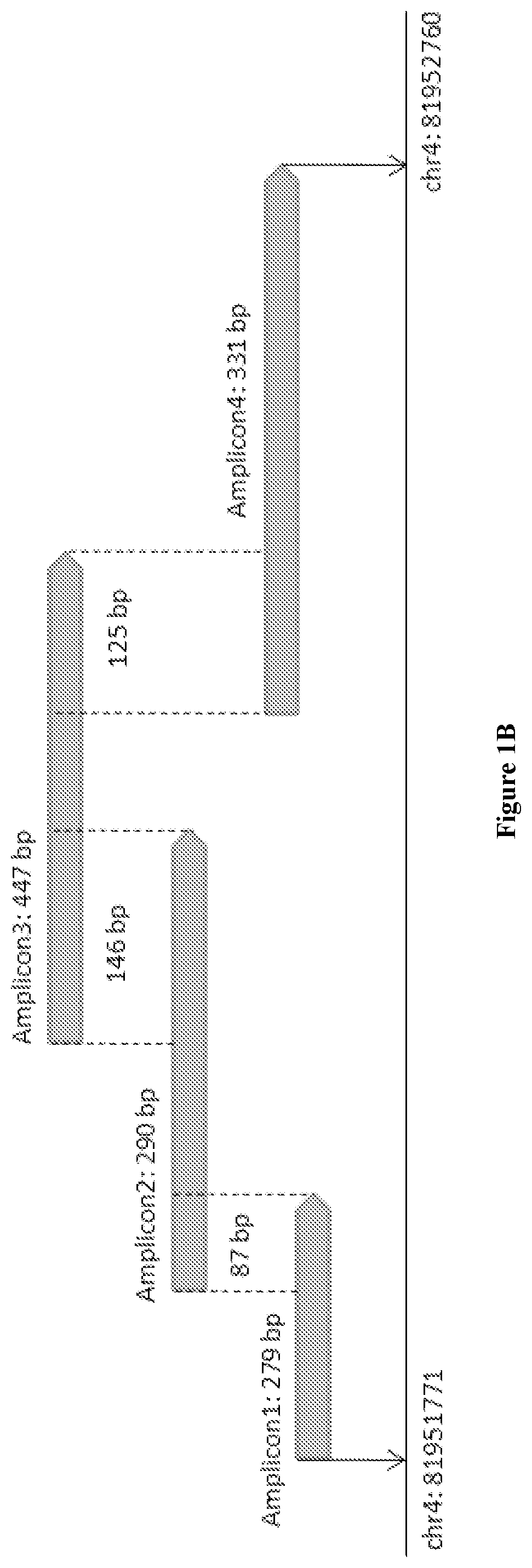 The kit for screening colorectal cancer and advanced adenoma and its application