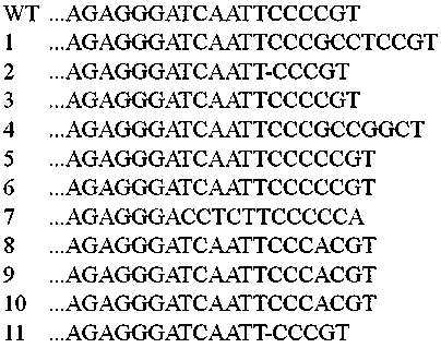 Rice salt-tolerant gene OsRR22 mutant, encoded amino acid sequence thereof, plant and making method of mutant