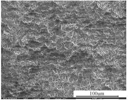 Microarc oxidation solution of titanium alloy wear-resistant coating and application thereof