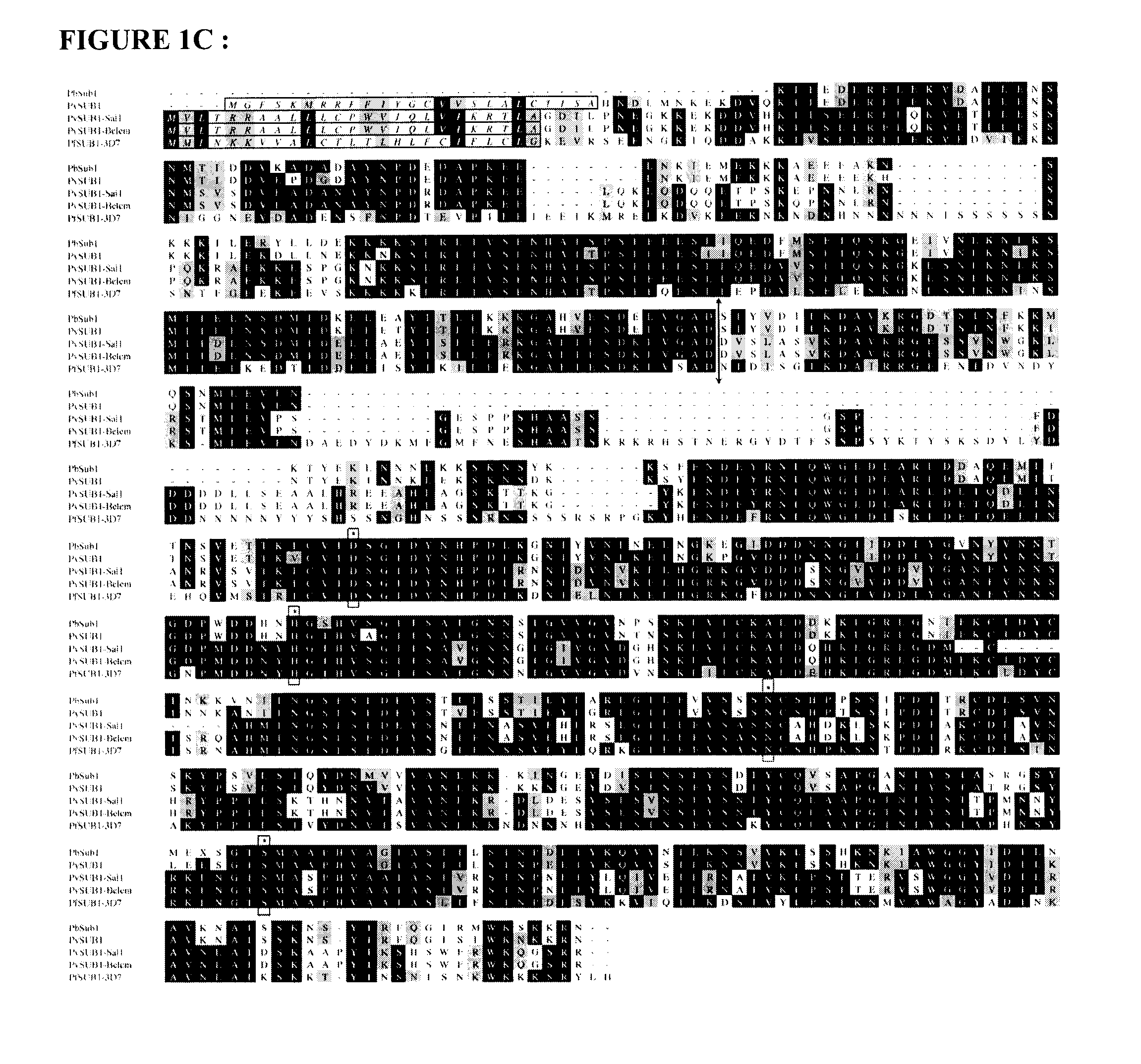 Screening methods for identifying plasmodium proteases inhibitors