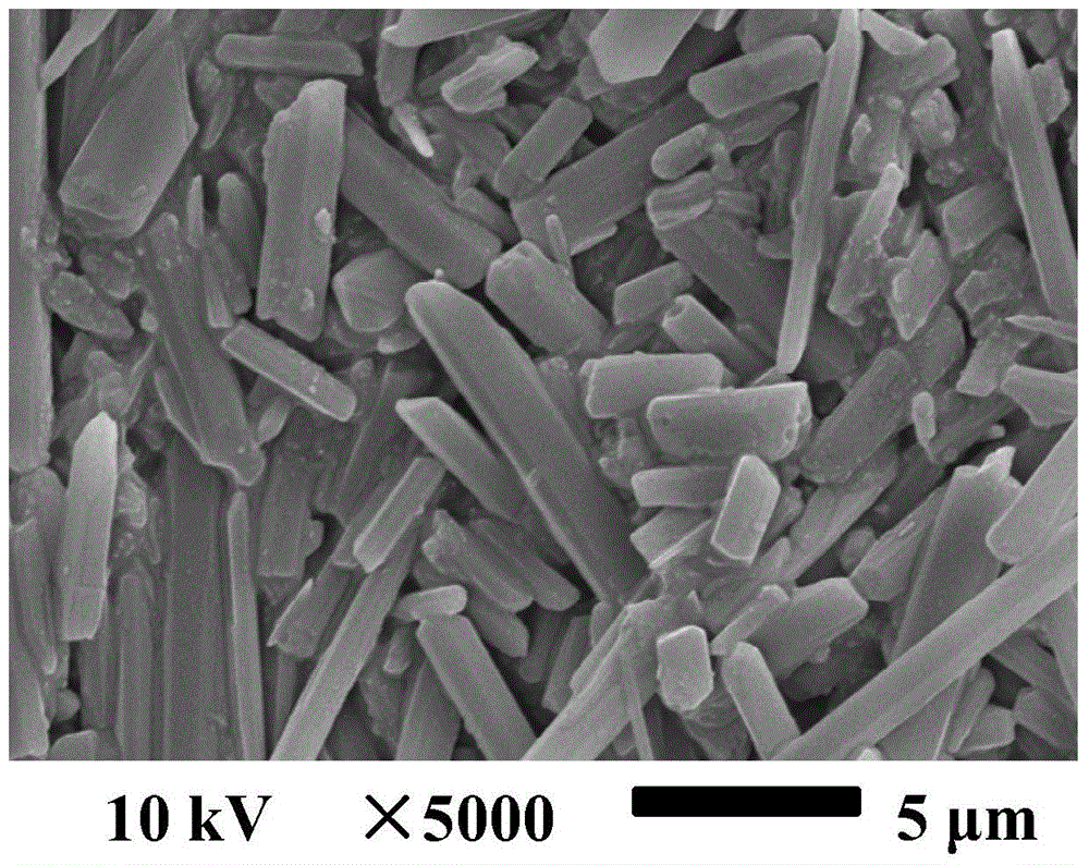 Two new crystal forms of 9-nitrocamptothecin and preparation method thereof